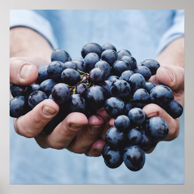 Trauben/Feinschmecker-Küchenplakat Poster (Vorne)