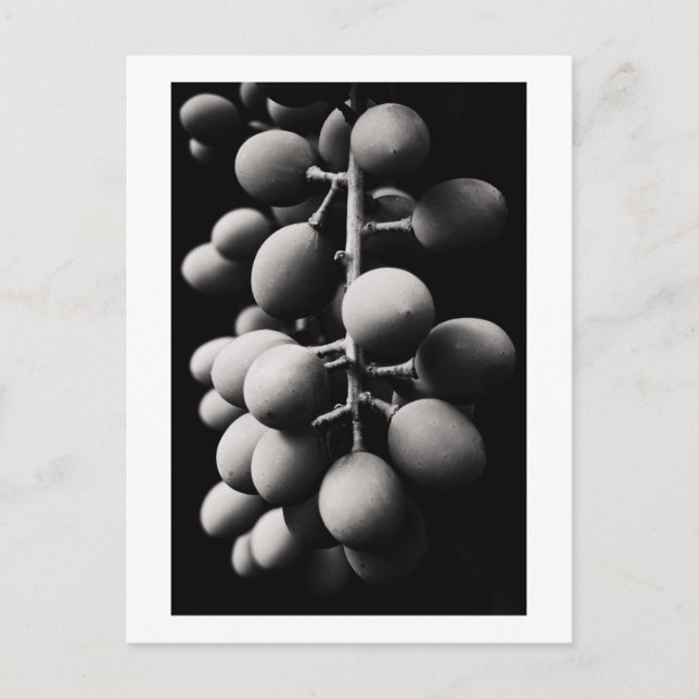 Trauben für einen gesunden Tag Postkarte (Vorderseite)