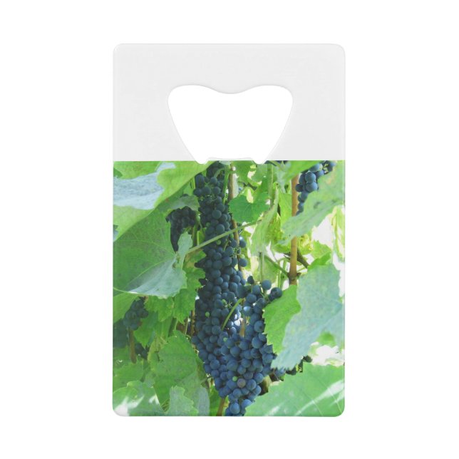 Trauben Geldbeutel Flaschenöffner (Vorderseite)