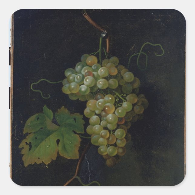 Trauben Quadratischer Aufkleber (Vorderseite)