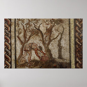 Trauben, von Heilig-Romain-en-Gallone ernten Poster