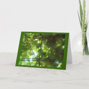 Trauben von Patience w Border Karte