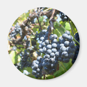 Trauben Weingarten John 15:5 Magnet