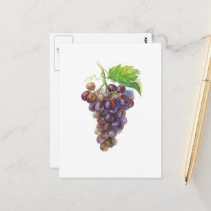 Traubenbündel Botanische Aquarellmalerei Postkarte