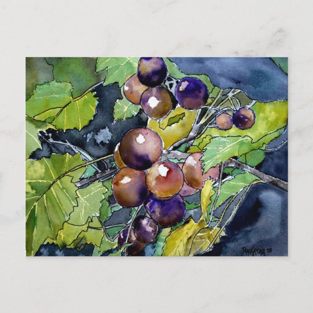 Traubenfrucht noch lebendig Kunst Postkarte (Vorderseite)