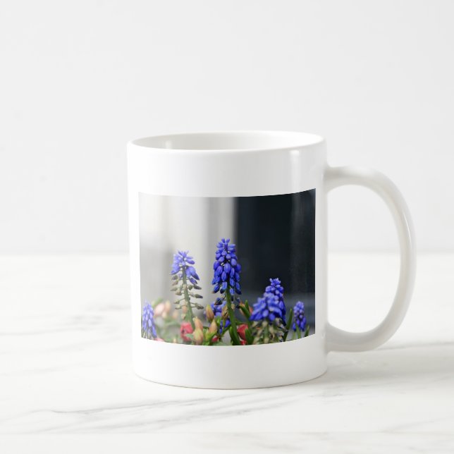 Traubenhyakinth Tasse (Rechts)