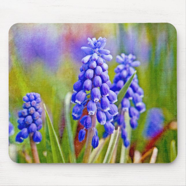 TraubenHyakinthen Mousepad (Vorne)