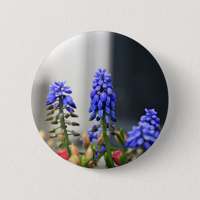 Traubenhyazinthe Button (Vorderseite)