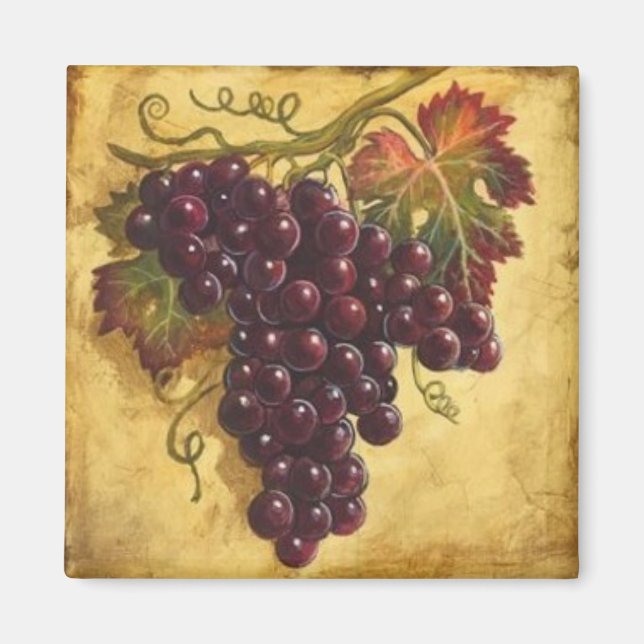 Traubenmagnet Magnet (Vorne)