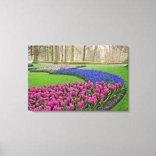 Traubentrester, Tulpen und 2 Leinwanddruck