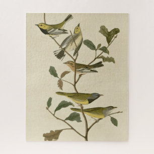 Trauer, andere Marotten, Audubon-Vögel in Amerika Puzzle