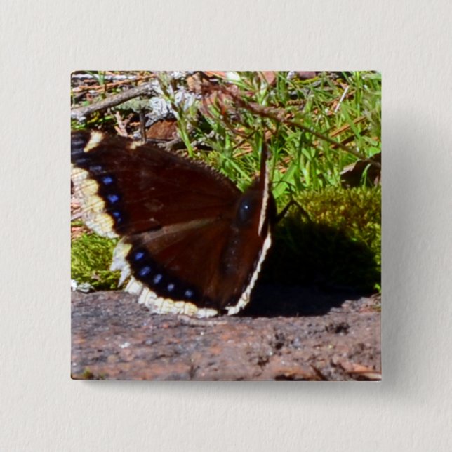 Trauer-Mantel-Schmetterling Upclose Button (Vorderseite)