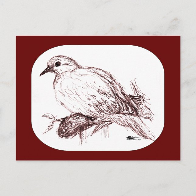 Trauerdove Baby Postkarte (Vorderseite)