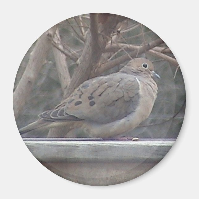 Trauerdove Magnet (Vorne)