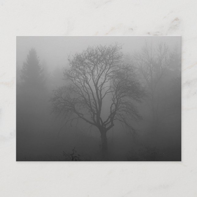 Trauerkar Postkarte (Vorderseite)