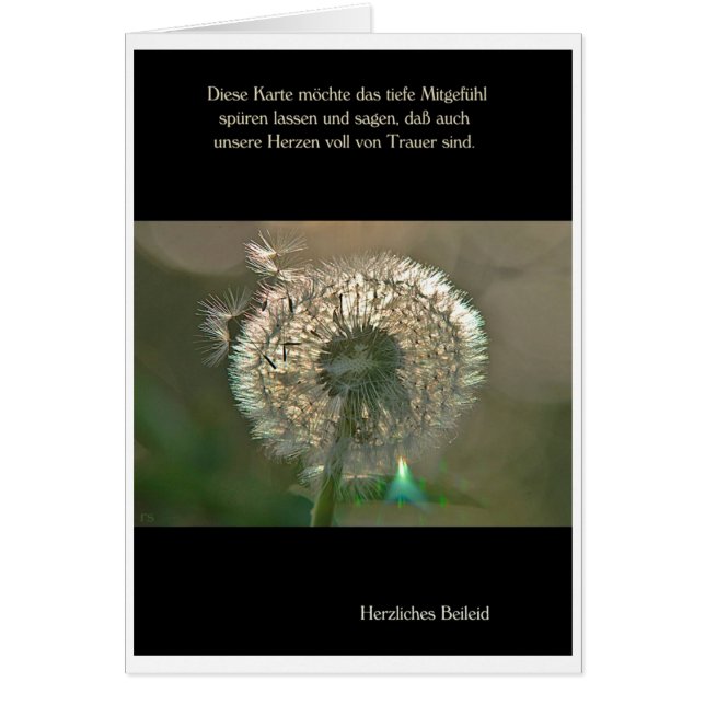 Trauerkarte Pusteblume Herzliches Beileid (Vorne)
