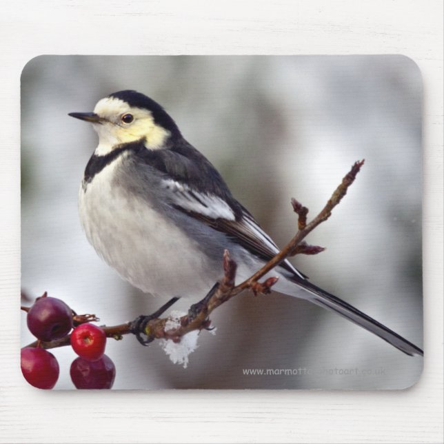Trauermöwen-Mousepad Mousepad (Vorne)