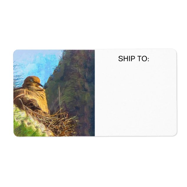 Trauernde Taube mit Baby Saguaro Cactus Nest (Vorne)