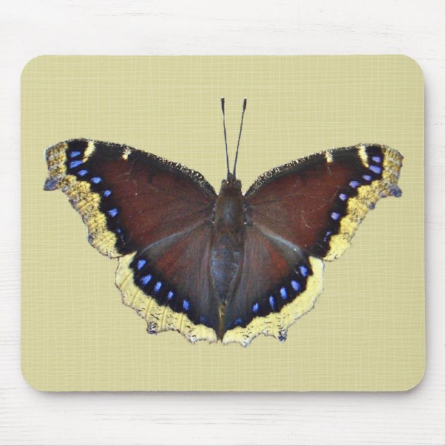 Trauernder Schmetterling in der Cloak - Nymphalis- Mousepad (Vorne)