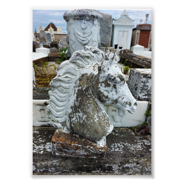 Trauerpferd Fotodruck (Vorne)