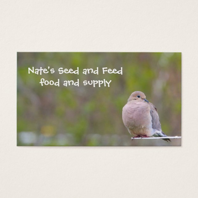 Trauertaube (Vorderseite)