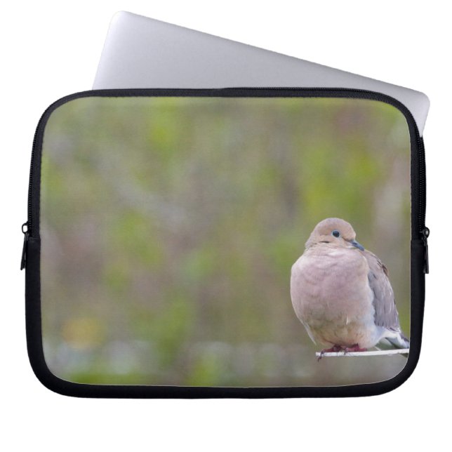 Trauertaube Laptopschutzhülle (Vorderseite)