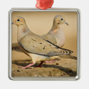 Trauertaube Silbernes Ornament