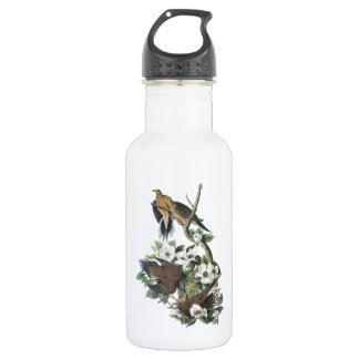 Trauertaube von Audubon Trinkflasche