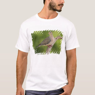 Trauertaube, Zenaida macroura T-Shirt