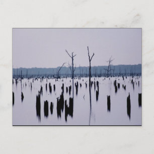 "Trauervormittag" - Postkarte