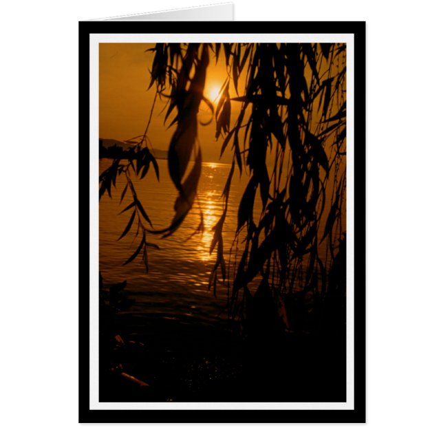 Trauerweide mit Sonnenuntergang Karte (Vorne)