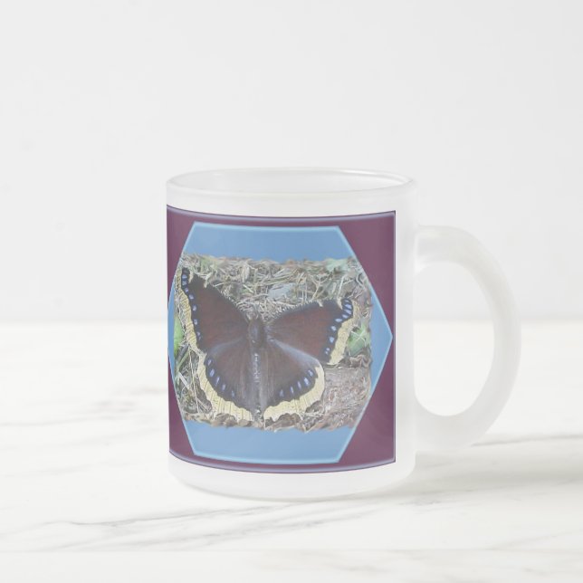Trauerwolke-Schmetterling Mattglastasse (Rechts)