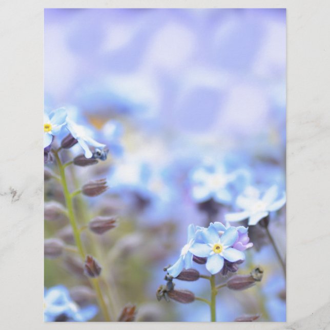 Traum in Blau (Vorderseite)