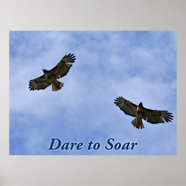 Traum Poster (Vorne)