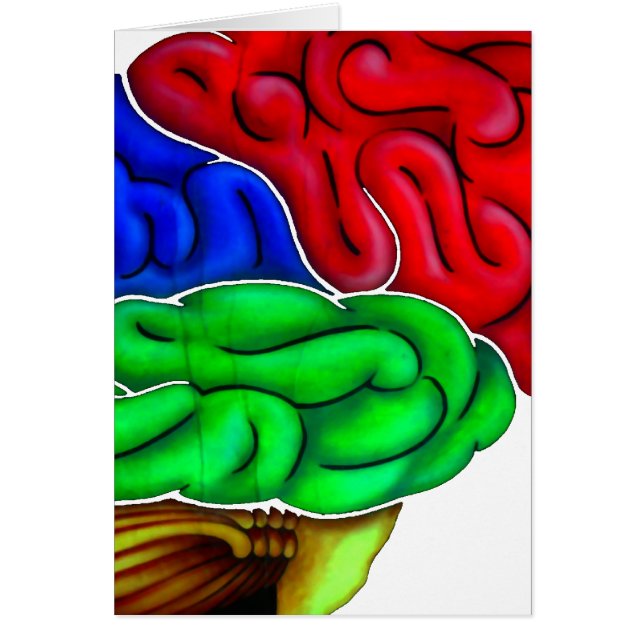 Traum & Think_ (Vorne)