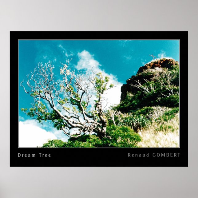 Traumbaum Poster (Vorne)