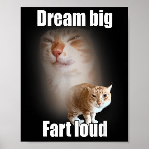 Träume groß kotze laut Katzen-Meme lustiger Spruch Poster