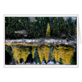 Träume von einem jungen Tamarack