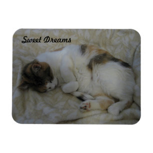 Träume von Katzen und Süßen Magnet