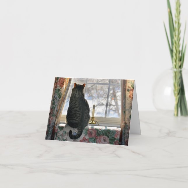 Träumen eines weißen Weihnachten - Katze am (Vorderseite)