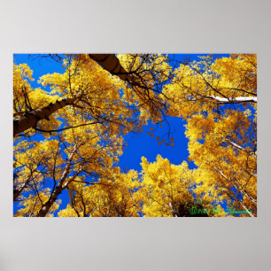 Träumen in der Farbe Poster