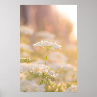 Träumen mit den Blumen Poster