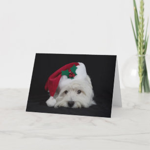 Träumen Sie die pesky westie Weihnachtskarte Feiertagskarte