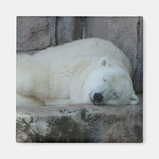 Träumen von Icebergs Magnet (Vorne)