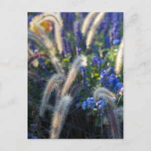 Träumende Wiesenblumen Postkarte