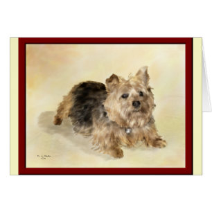 Träumender Maggie…! … Karte