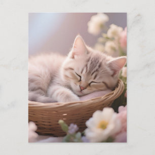 Träumendes Schlafendes Kätzchen Blumenkorb Postkarte