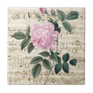 Träumerische rosa Rose Fliese