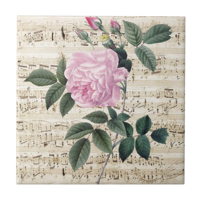 Träumerische rosa Rose Fliese (Vorderseite)