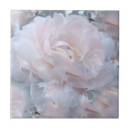 Träumerische Rose Fliese